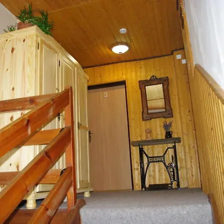 Gasthuis Penzion U Lebedu