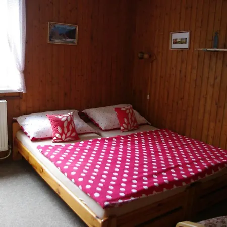 Penzion U Lebedu Gasthuis *