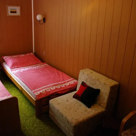 Gasthuis Penzion U Lebedu *