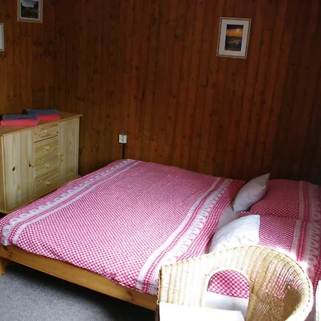 Penzion U Lebedu Gasthuis *