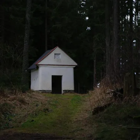 Gasthuis Penzion U Lebedu