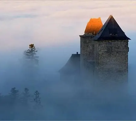 Gasthuis Penzion U Lebedu *