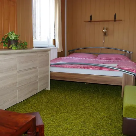 Gasthuis Penzion U Lebedu